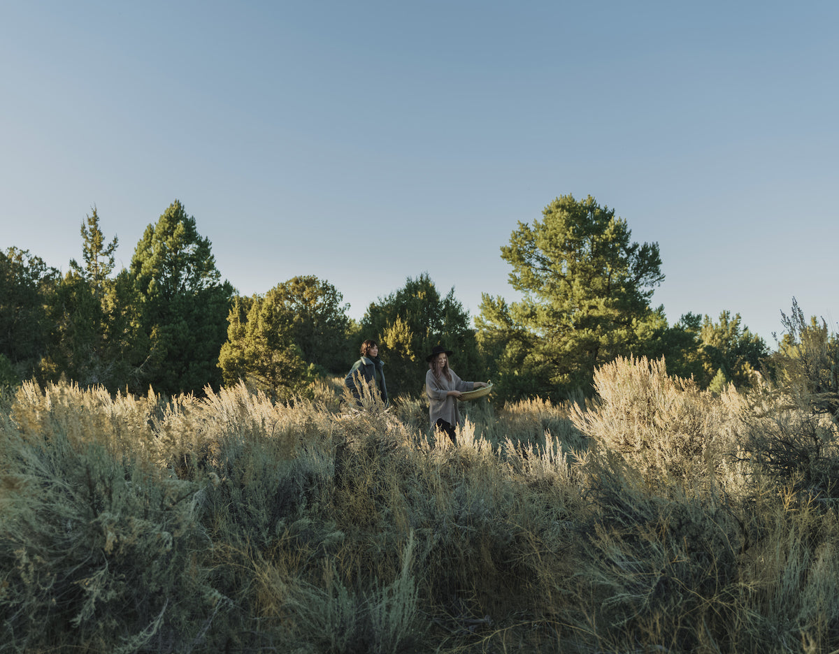 Soaking It All In: Forest Bathing 101