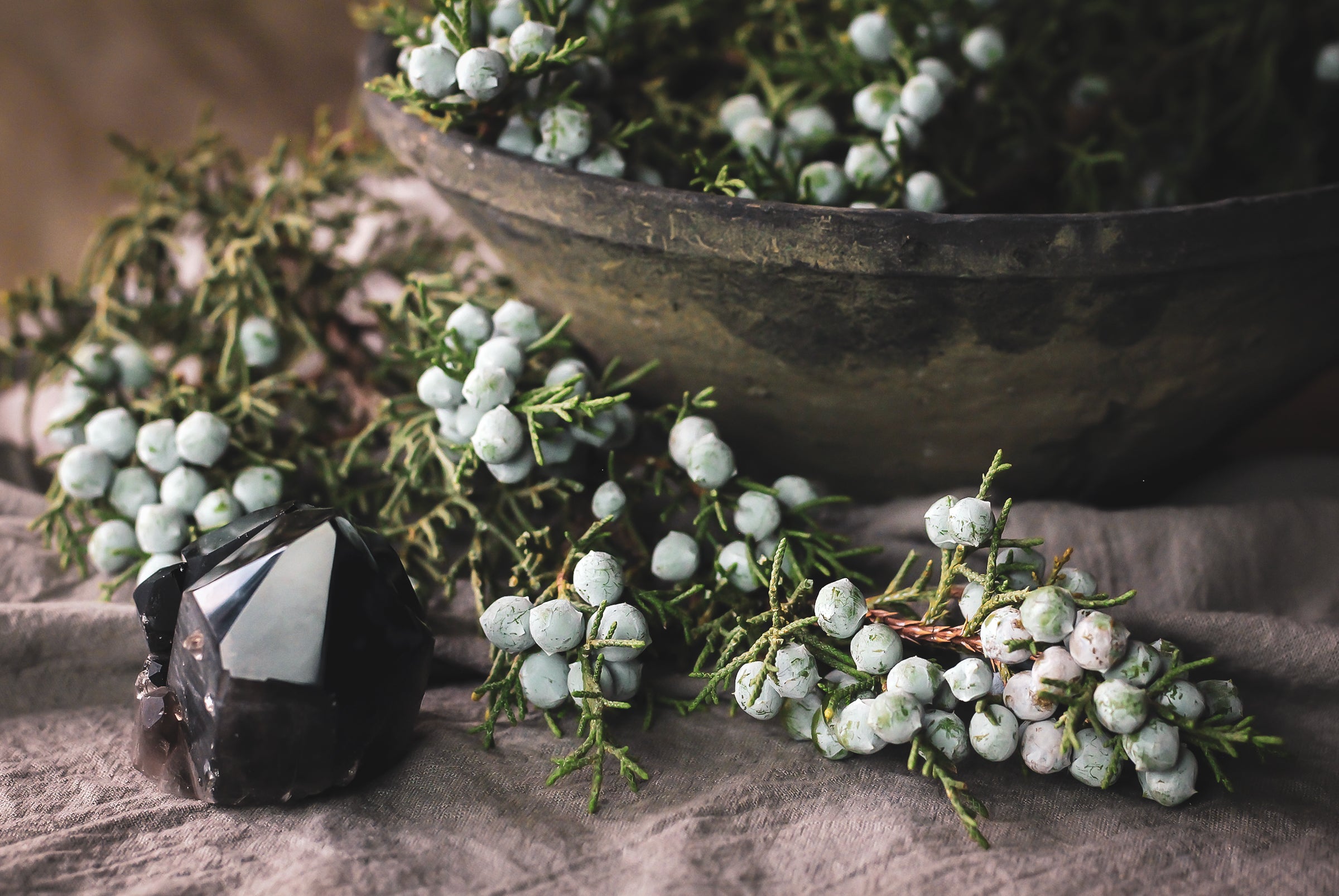 The Magical Remedies of the Utah Desert