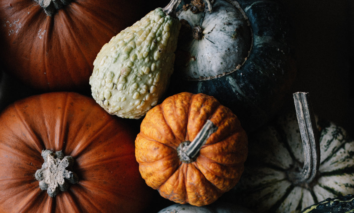 Fall Soup for the Skin & Soul