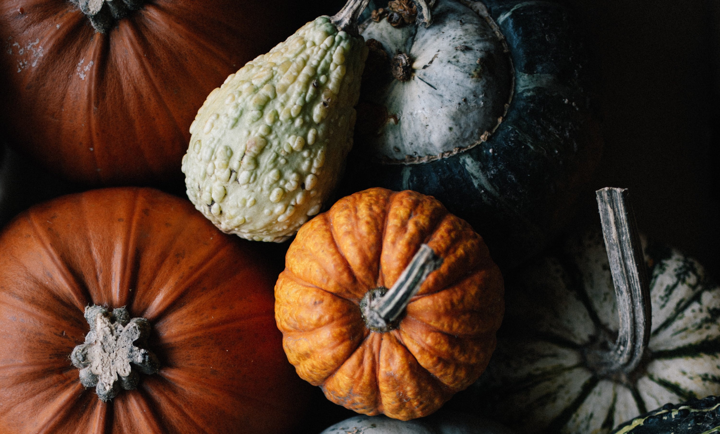 Fall Soup for the Skin & Soul