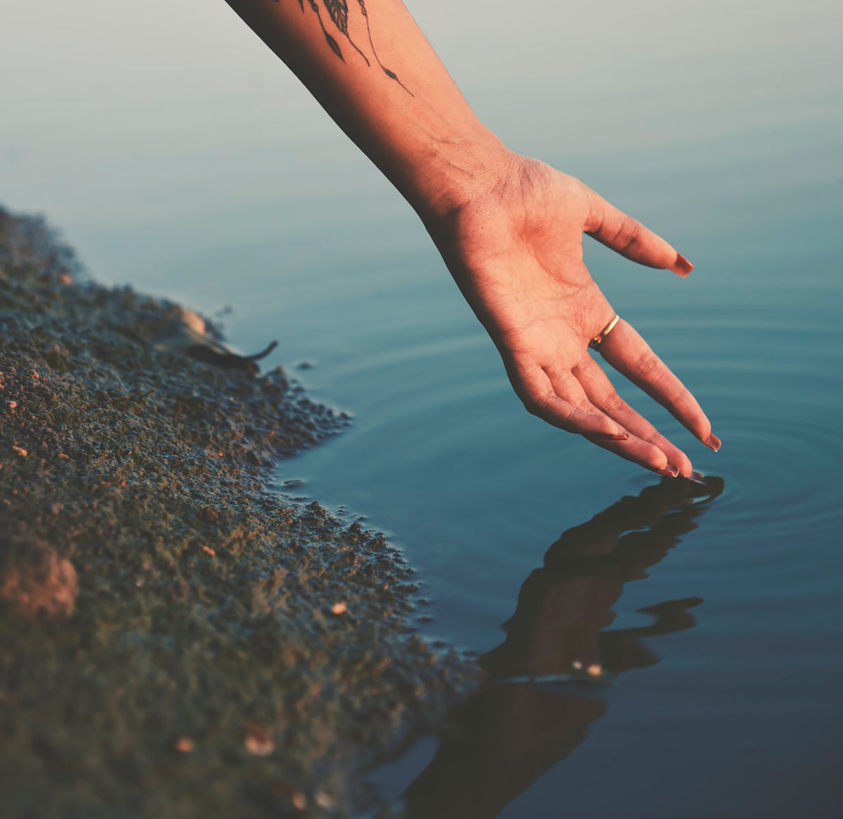 Understanding The Relationship Between Moisture And Hydration